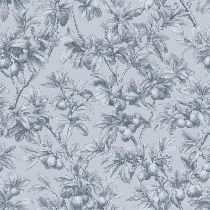 Afbeeldingen van Esaias Blue - 1105101-03